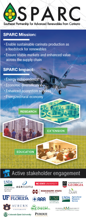 SPARC poster for download